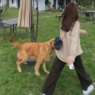 万里走单骑第三季